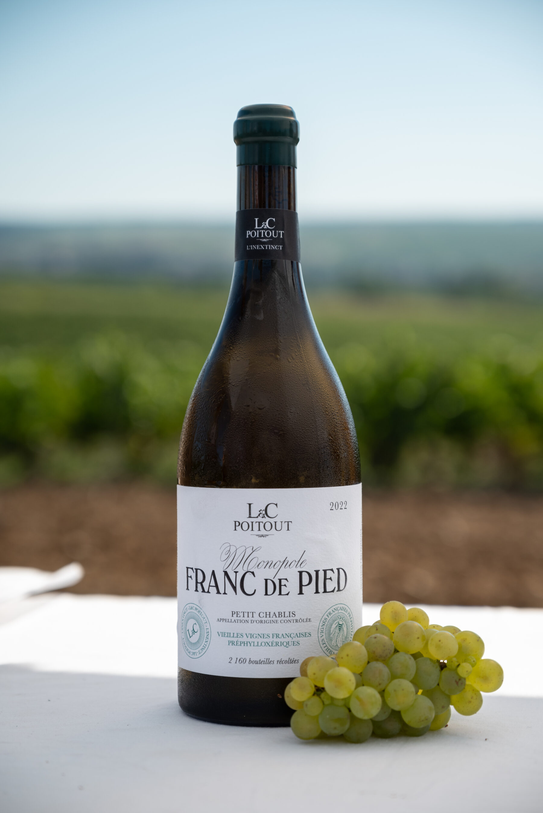 Grand Chapitre de Francs de Pied