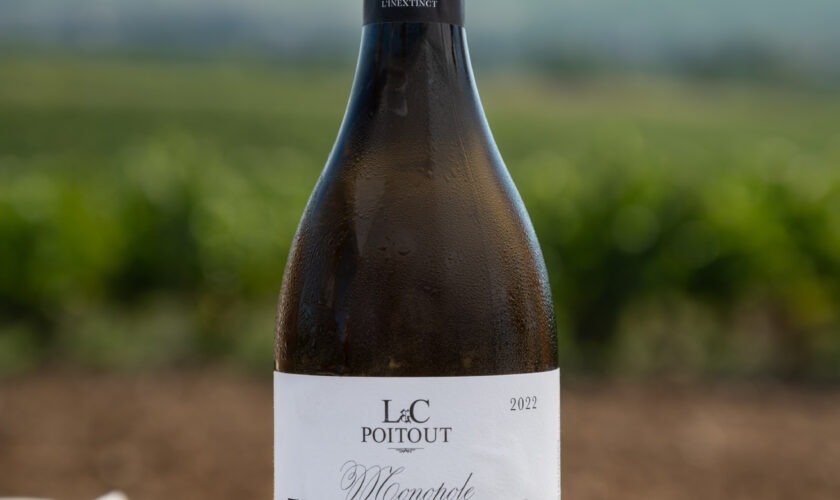 Salon Aux Vignobles Saint Malo